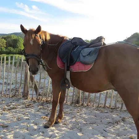 Chez Adrien 108-appartement Magnifique Vue Piscine Chauffee *