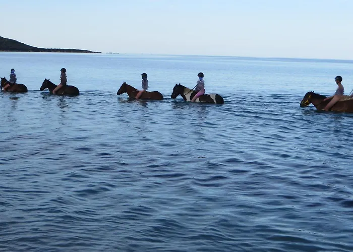 Chez Adrien 108-appartement Magnifique Vue Piscine Chauffée Appartement