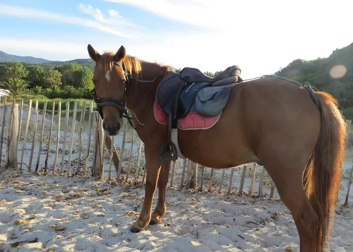 Chez Adrien 108-appartement Magnifique Vue Piscine Chauffée *
